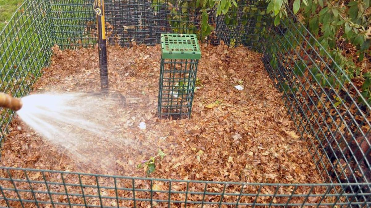 It’s important to provide water for the microorganisms that turn dead leaves into rich compost.