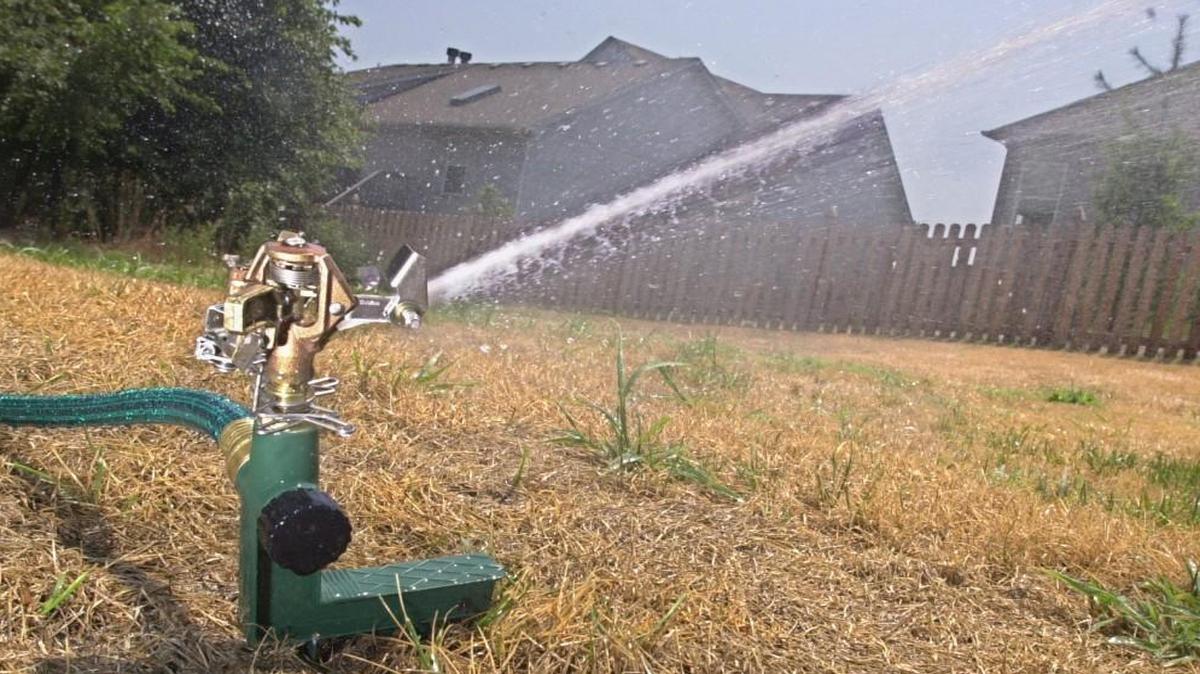 Learning how to properly water during a drought is a combination of science and art.