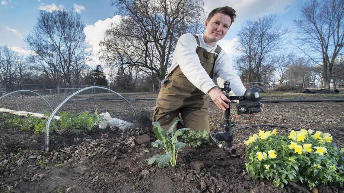 Ania Waitr, a senior gardener at Powell Gardens, uses a motion-activated sprinkler as an animal deterrent in her urban garden, City Meadows Farm in Kansas City.