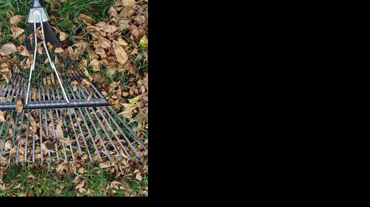 
Raking leaves — avoid it!
