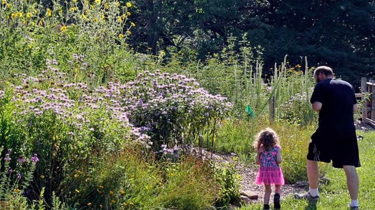 Naturescaping boosts wildlife and adds variety to gardening, the Missouri conservation department says.