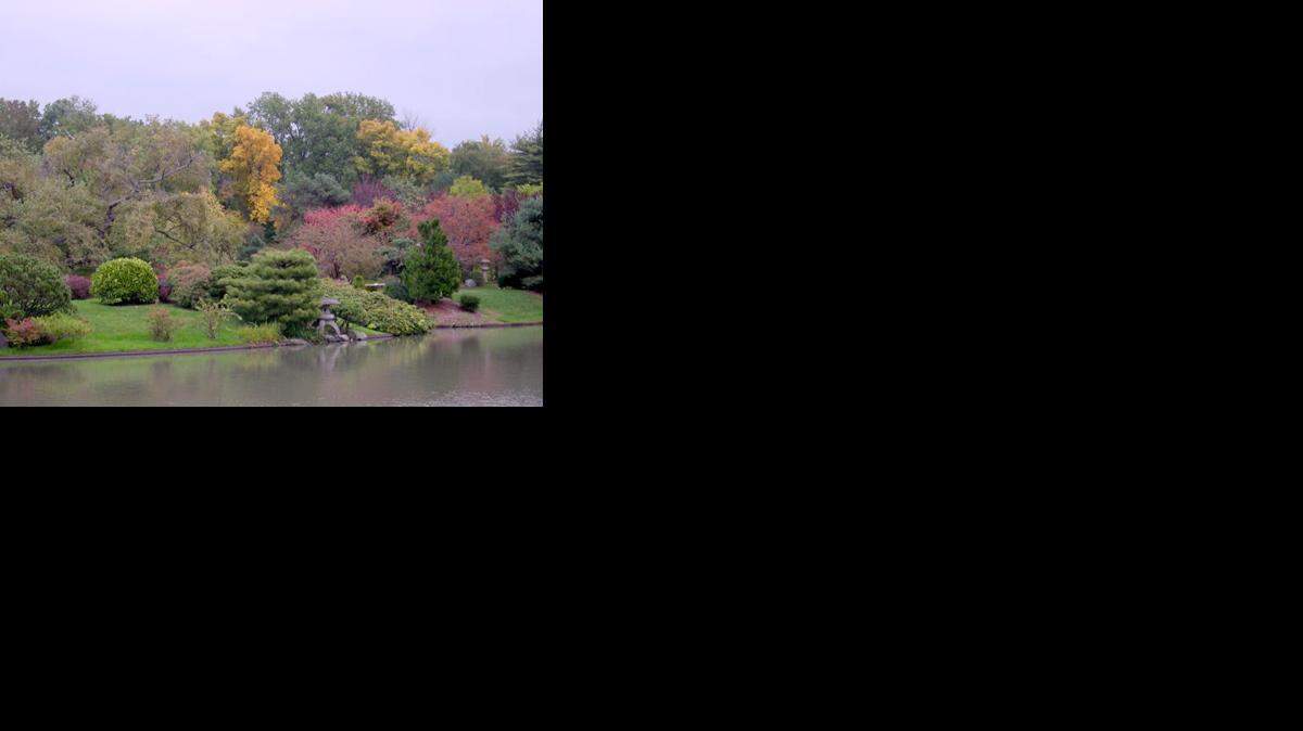 
Fall scene at MoBot
