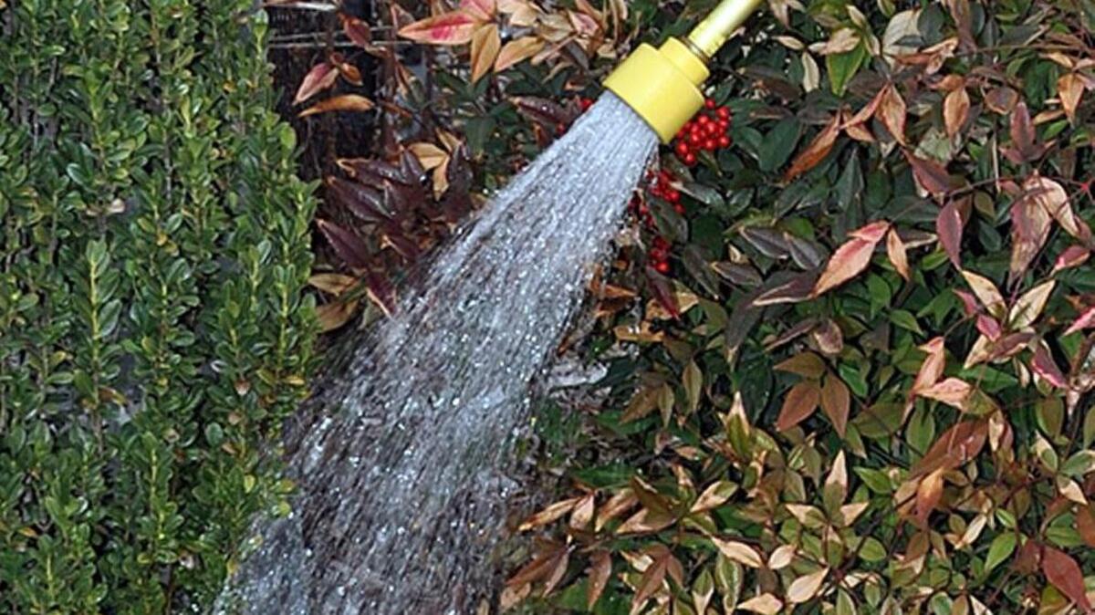 
Fall watering
