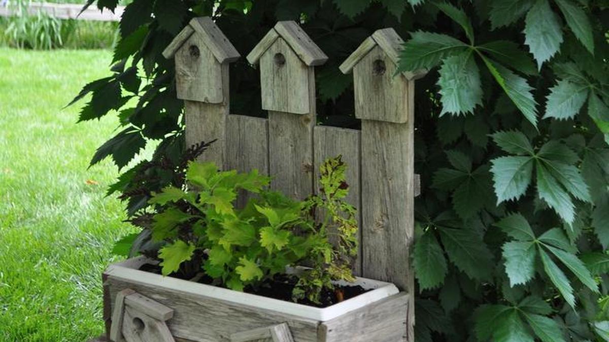 The Johnson County garden tour is coming up May 20 and 21.