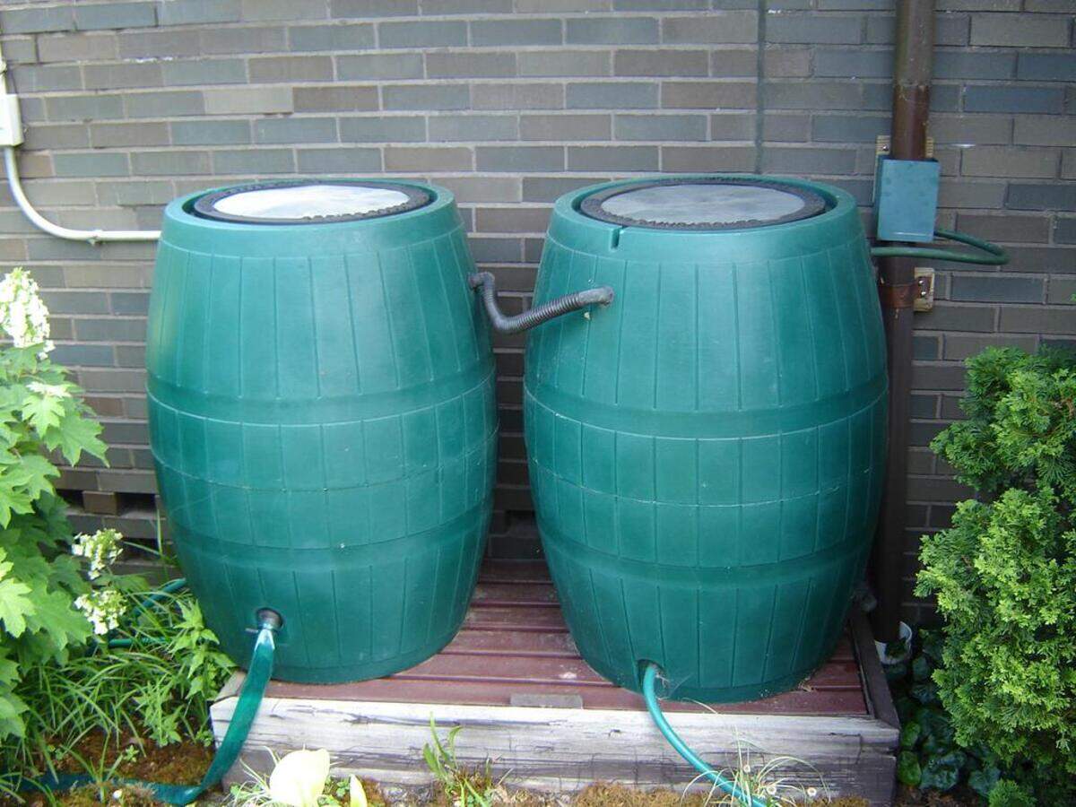 Rain barrel water can be an unexpected source of contamination for your vegetable patch.