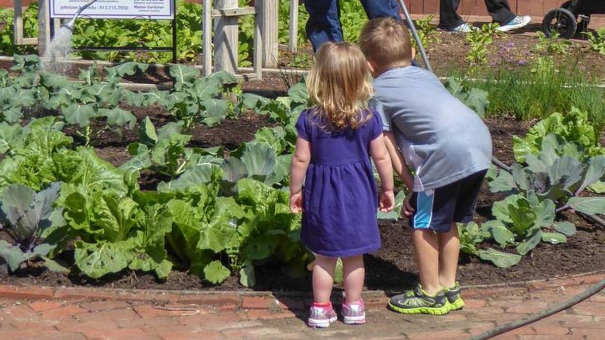 Deanna Rose Children’s Farmstead in Overland Park gives children an opportunity to see gardeners in action.