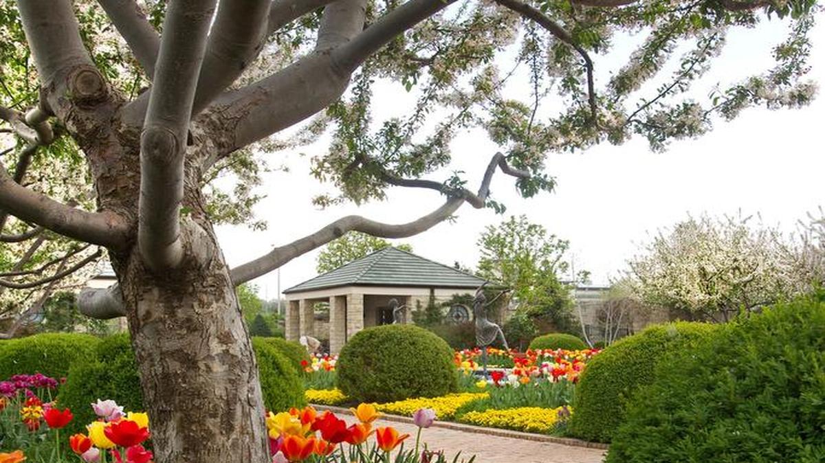 
A blooming Japanese crabapple tree frames the Ewing and Muriel Kauffman Memorial Garden, which is a European-style garden. Next door, the Anita B. Gorman Discovery Center has native plant gardens. 
