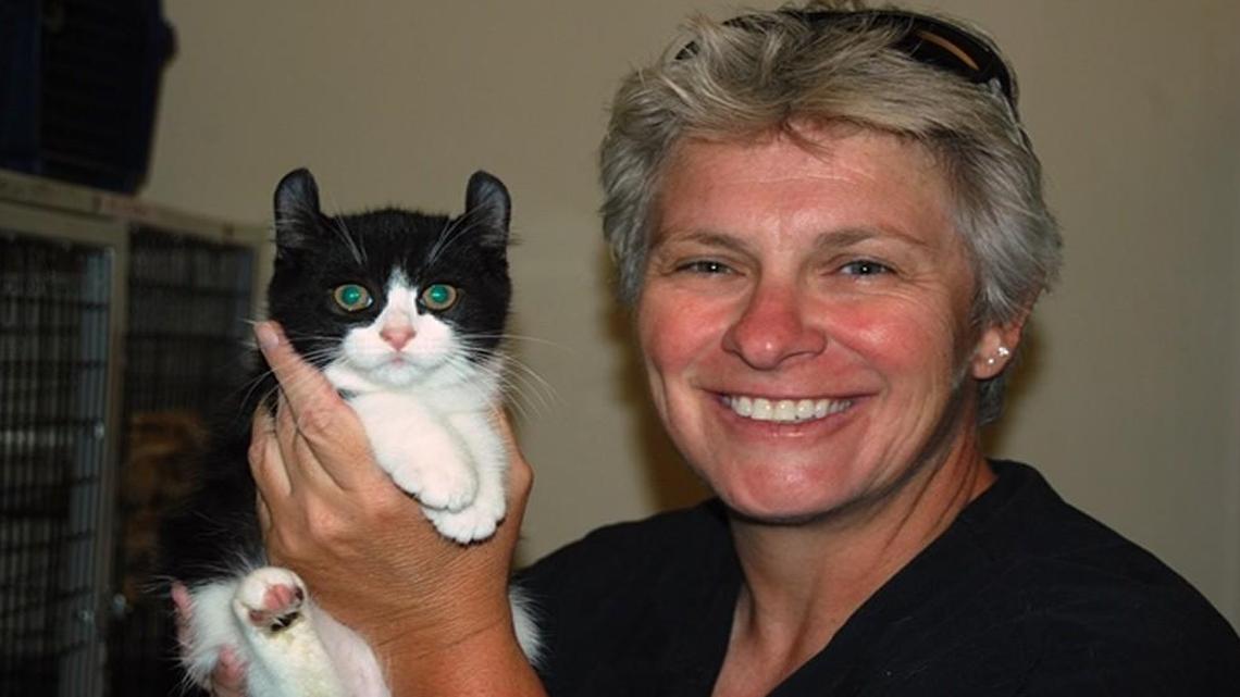 Leslie Lyons is the lead researcher on a University of Missouri College of Veterinary Medicine project that seeks to map the genomes of 99 cats and use the data to identify the source of genetic disorders.