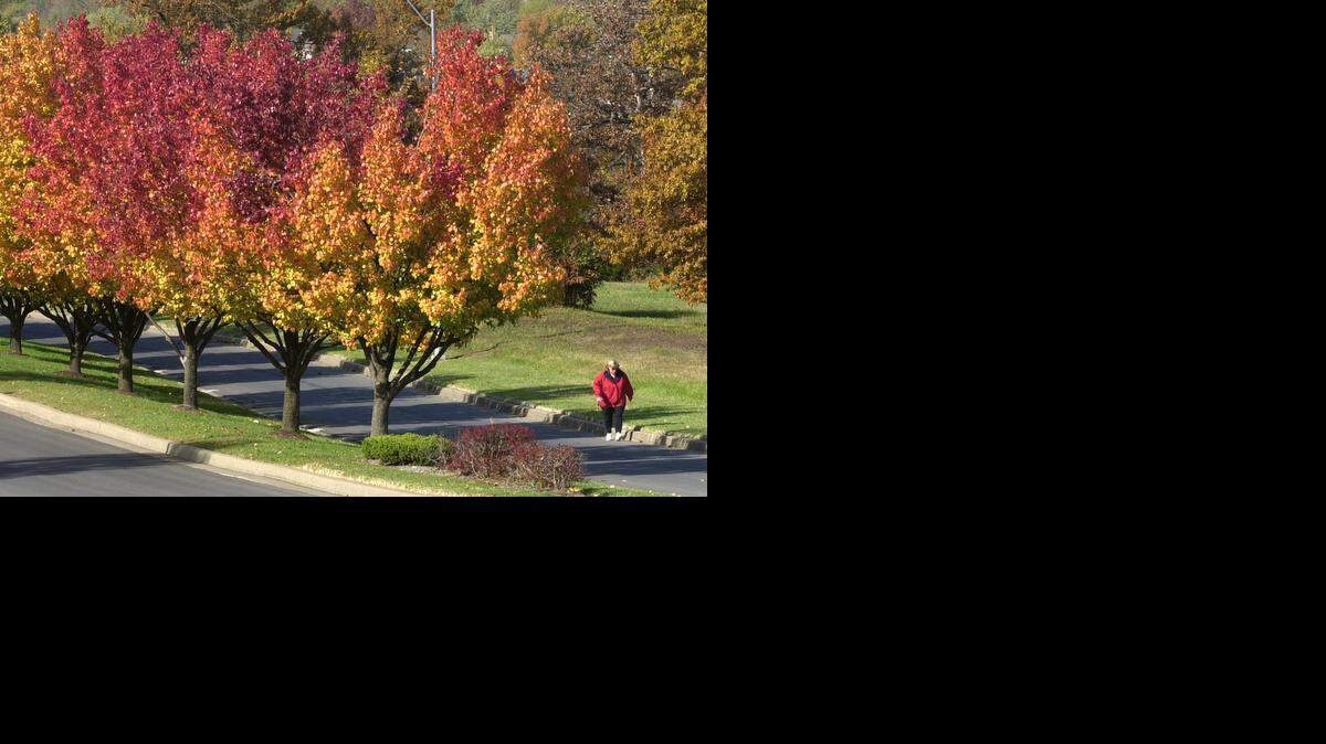 
How do you celebrate fall? With hay rides? Pumpkin picking? A scenic drive through gorgeous fall foliage? We want to see your photos of how you celebrate and love the season. Send your photos to our “Fall in Kansas City 2014” gallery at Mingle.KansasCity.com.
