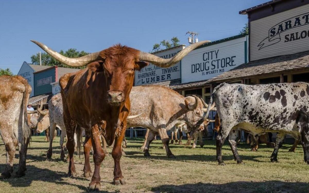 Head to Boot Hill in Dodge City and you might just see a cattle drive in action. Dodge City was named the most beautiful town to visit in Kansas by Culture Trip.