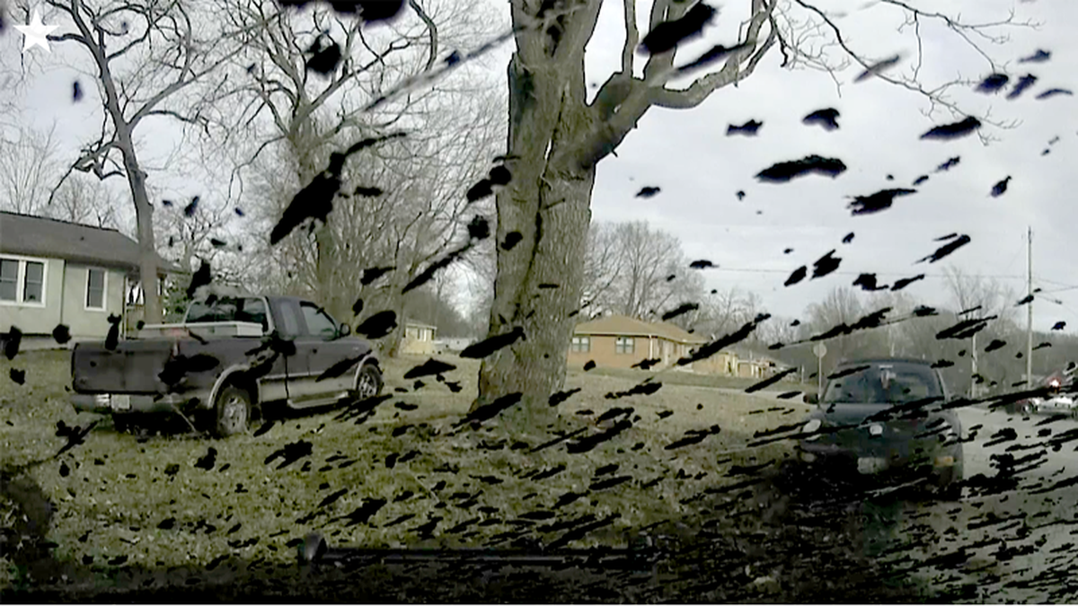 Mud spatters the windshield of an Independence police car during a 2019 pursuit. The image is taken from dashcam video of the high-speed chase that injured Sherry Ross and her father.&nbsp;