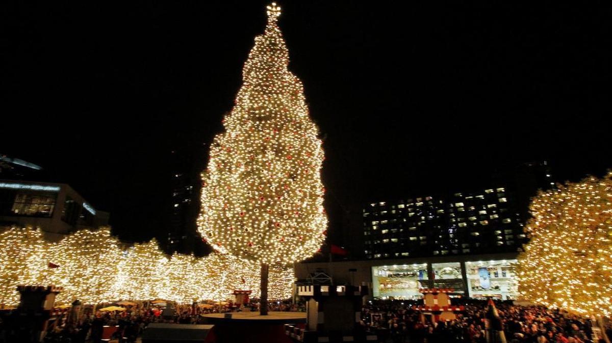 The annual Mayor’s Christmas Tree will arrive Nov. 3 at Crown Center. It will be put in its stand the next day, and the lighting ceremony will take place Nov. 25.