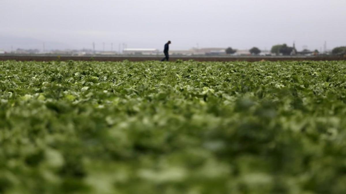 
The International Association of Agricultural Production Insurers, an organization with members from 30 countries, will hold its 33rd conference in Kansas City starting Sunday and running through Wednesday.


