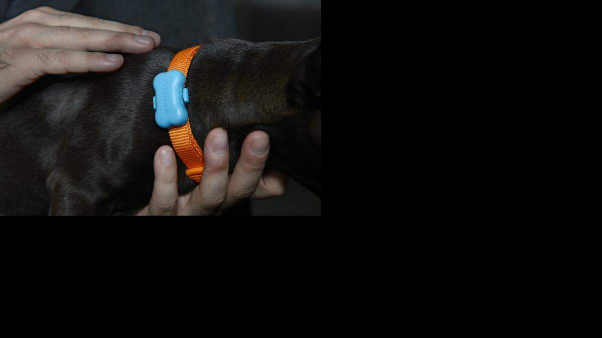 
FitBark, a Kansas City startup that sells a dog activity monitor, made the 20 U.S. company finalists in the Get in the Ring competition.
