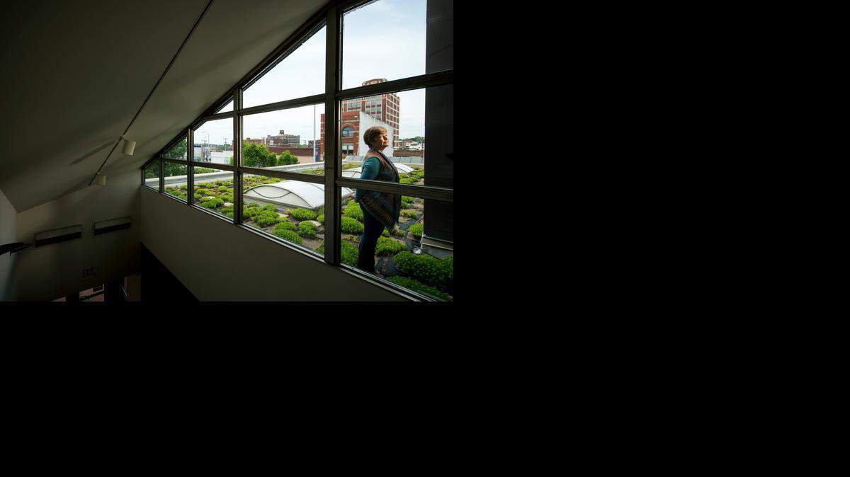 
Margaret Silva, director for the past 20 years of Grand Arts, a non-profit gallery and sculpture studio at 1819 Grand Boulevard, announced she will donate the building in 2015 to the Kansas City Art Institute for their graduate program use. Silva was photographed on the living roof of the building on Friday.
