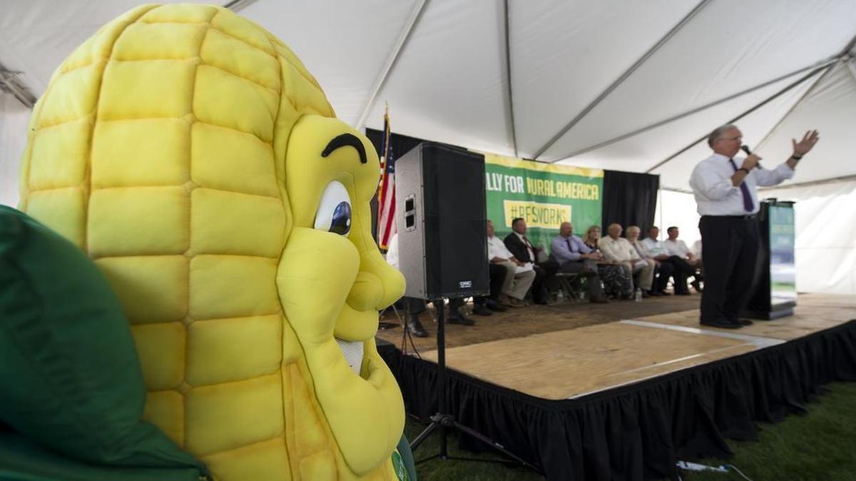 
Cody Cliff with the Caldwell County, Ky., FFA wore the costume of "Captain Cornelius" as Missouri Gov. Jay Nixon spoke in support of ethanol production as an economic stimulus for rural America. The National Corn Growers Association and its allies gathered in downtown Kansas City, Kan., to testify at an EPA hearing on reducing ethanol use mandates Congress set in 2007.
