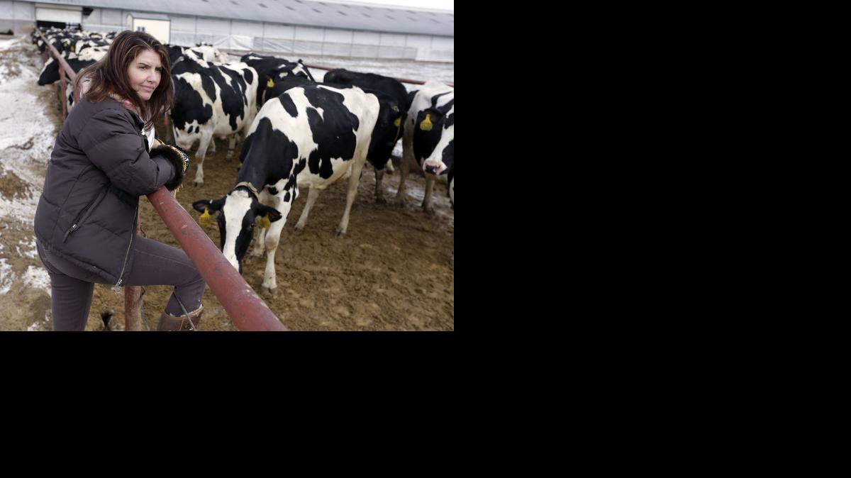 
Sue McCloskey, of Fair Oaks Farms, watches as cows move to the milking parlor at the farm, in Fair Oaks, Ind. 
