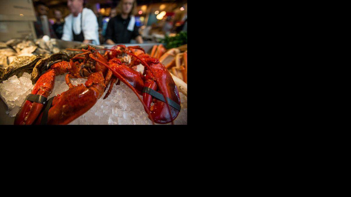 Lobsters were on display during a training session Thursday at Jax Fish House & Oyster Bar, which will open Monday in the Plaza Vista complex, just west of the Country Club Plaza.
