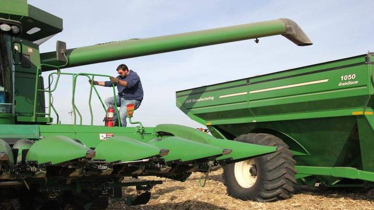 
Grant Curtis says if low farm prices persist, he may have to take an off-farm job to support his family. 
