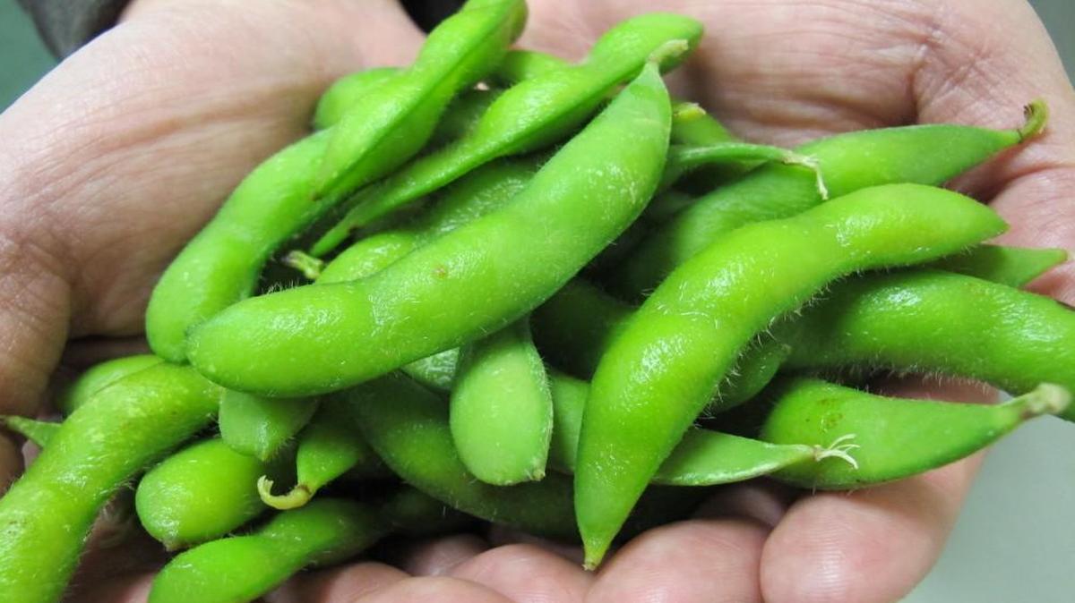 The soybean check-off program is at the heart of a Jackson County court case decided Wednesday.