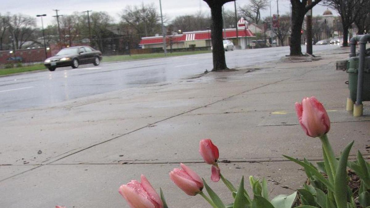 
The Troost Avenue Community Improvement District was created in 2013 to include the neighborhood along Troost from 46th Street south to 75th Street and along 63rd Street between Pener Plaza and Rockhill Road.
