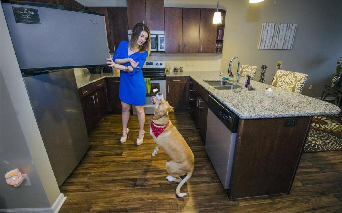 Surrounded by luxury amenities — like stainless steel appliances and granite countertops — in her apartment at The Landing at Briarcliff, Isabelle Shaw tossed an ice cube to her dog, Jax. Shaw has found many advantages to apartment living in Kansas City.