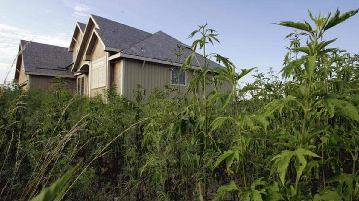
Seen in 2007, the failed Prospect North project at Missouri 1 and Maplewoods Parkway was gathering weeds for years. It was also known as Renaissance North. The city approved a tax increment financing deal for Prospect North in early 2000, but it then endured a host of setbacks.
