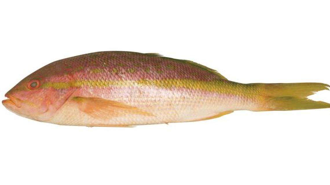 
Fish oil capsules are among the country’s most popular supplements because of heart-healthy claims. 
