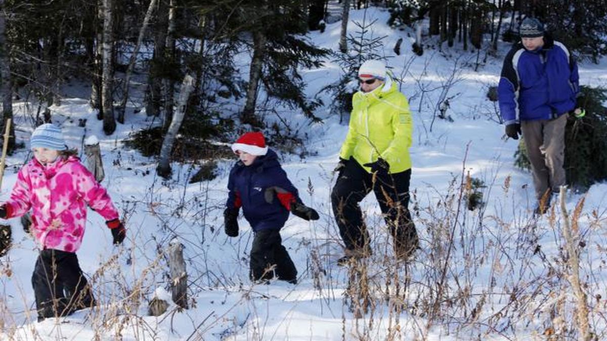 
 The Beaman family, from left, Briana, 8, Alex, 5, mother Arpie, and dad Ralph drag their freshly cut Christmas tree out of the White Mountain National Forest in Waterville Valley, N.H. The U.S. Forest Service offers consumers a chance to cut their own trees for $5. 
