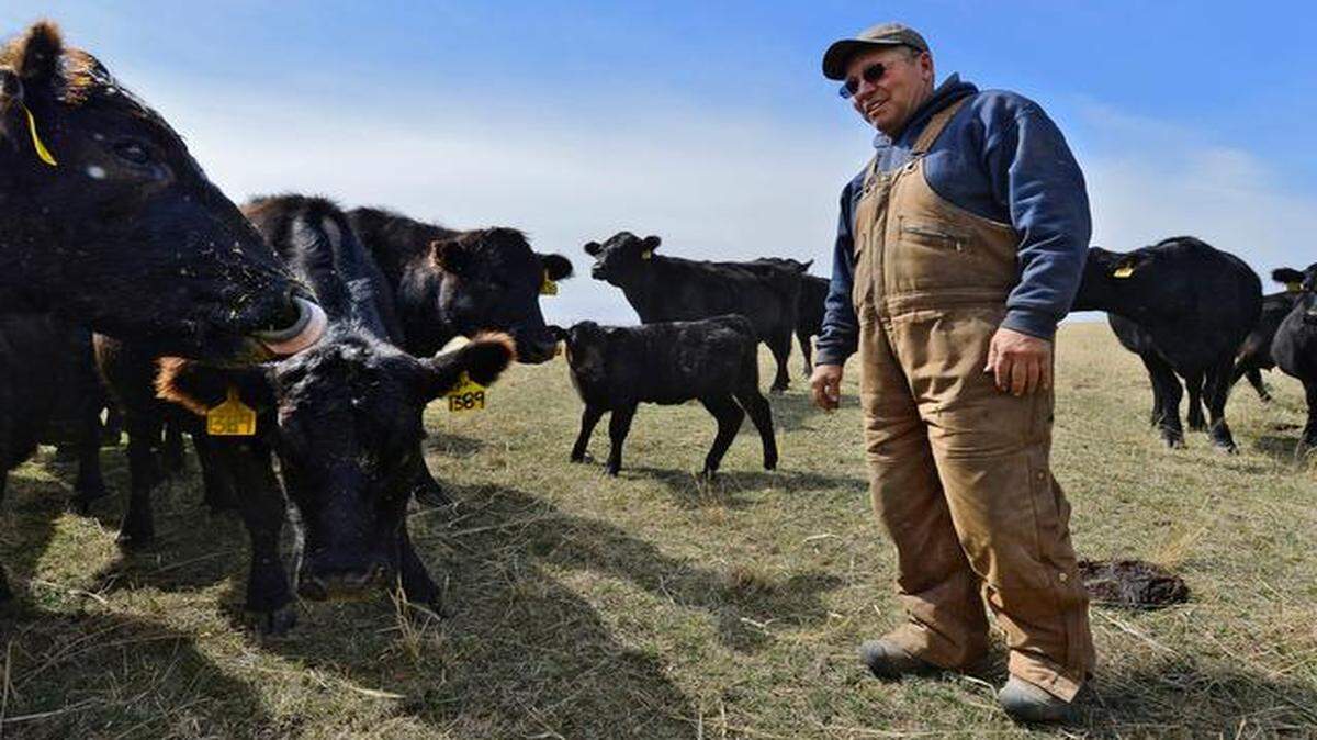 David Pfrang of rural Goff, Kan., seen here checking on a herd at feeding time, has become a thorn in the side of bigger beef producers.