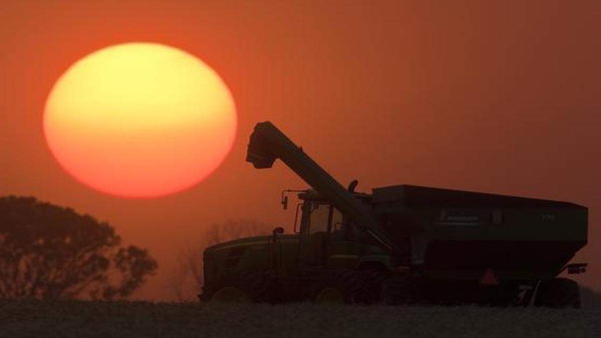 
Among major Kansas crops, the state’s wheat crop was valued at $1.51 billion last year.
