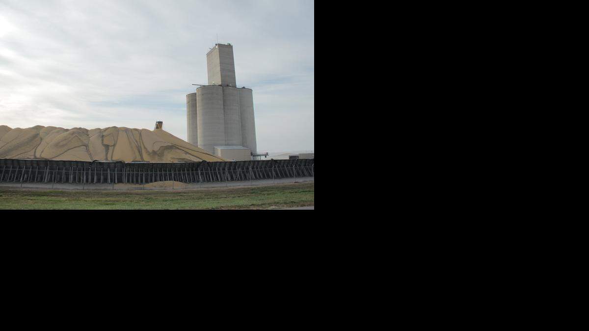 Soybeans pile up at a grain elevator outside Heartwell, Neb. <137>Nationwide, farmers are expected to harvest record-breaking amounts of corn and soybeans this year. (Grant Gerlock/Harvest Public Media)xxxxxxxxx<137>