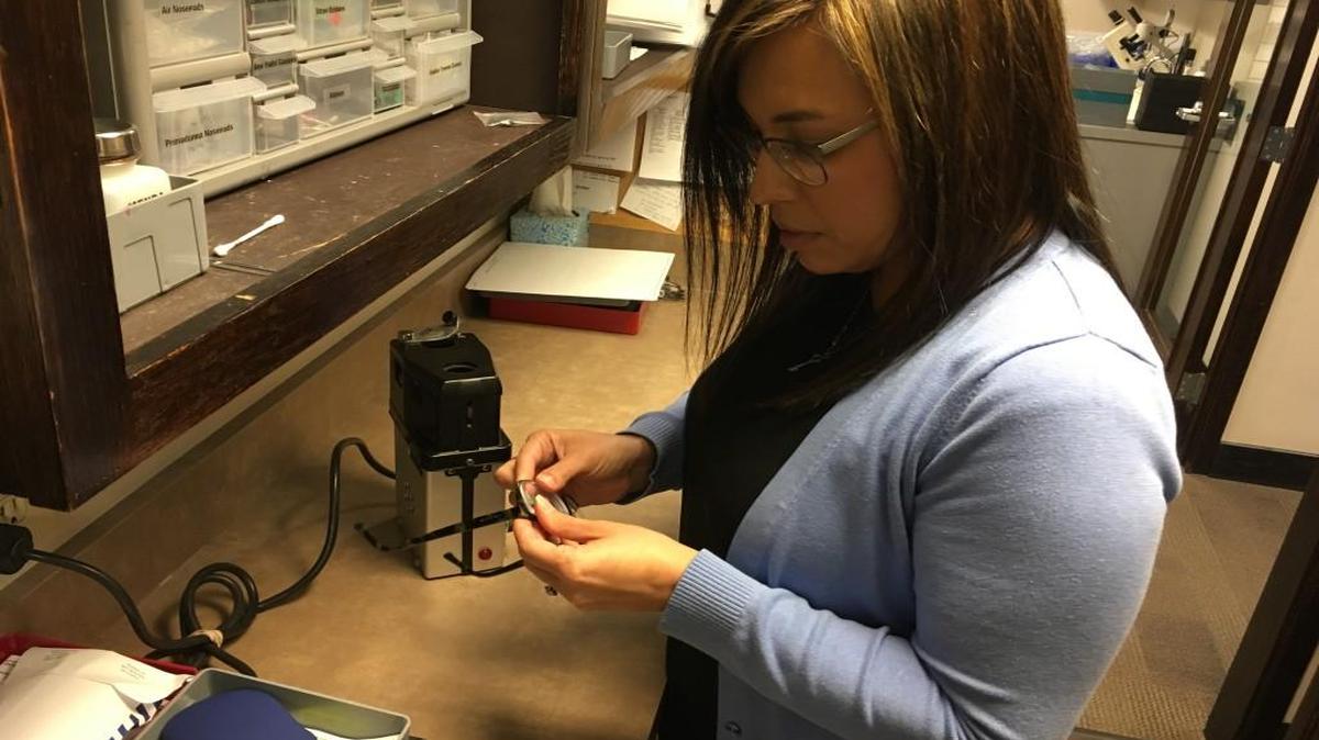 Leah Burke, an optician at Hawks Besler & Rogers Optometry in Overland Park, snaps a lens back into a frame after adjusting it for a customer. Burke’s office offers free adjustments to its patients if they buy their glasses online. Other shops are charging fees for adjustments to glasses purchased elsewhere.