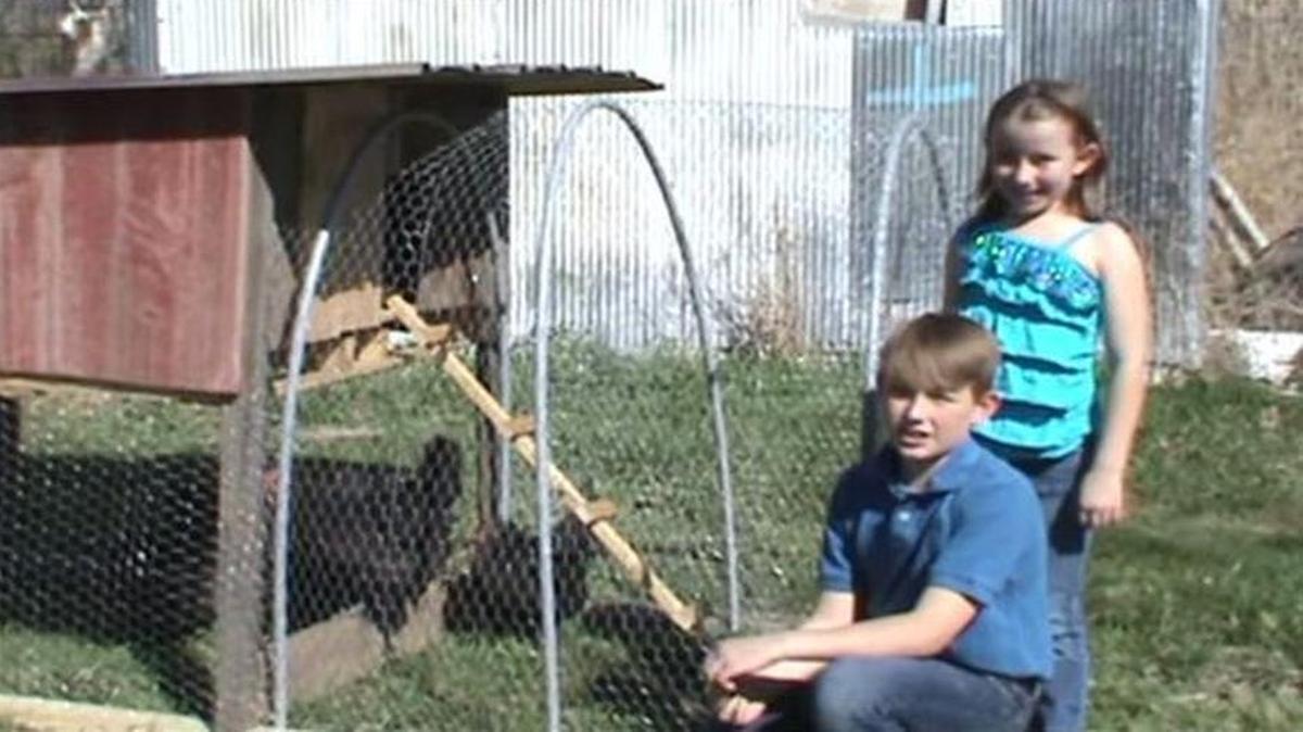 
Simeon and Lilian Buie’s E E Farm sells Eggpreneur Kits for keeping chickens in a less rural setting. It comes with not only a coop but also six chickens. They will present their business idea to legendary investor Warren Buffett and other judges in a competition in Omaha.

