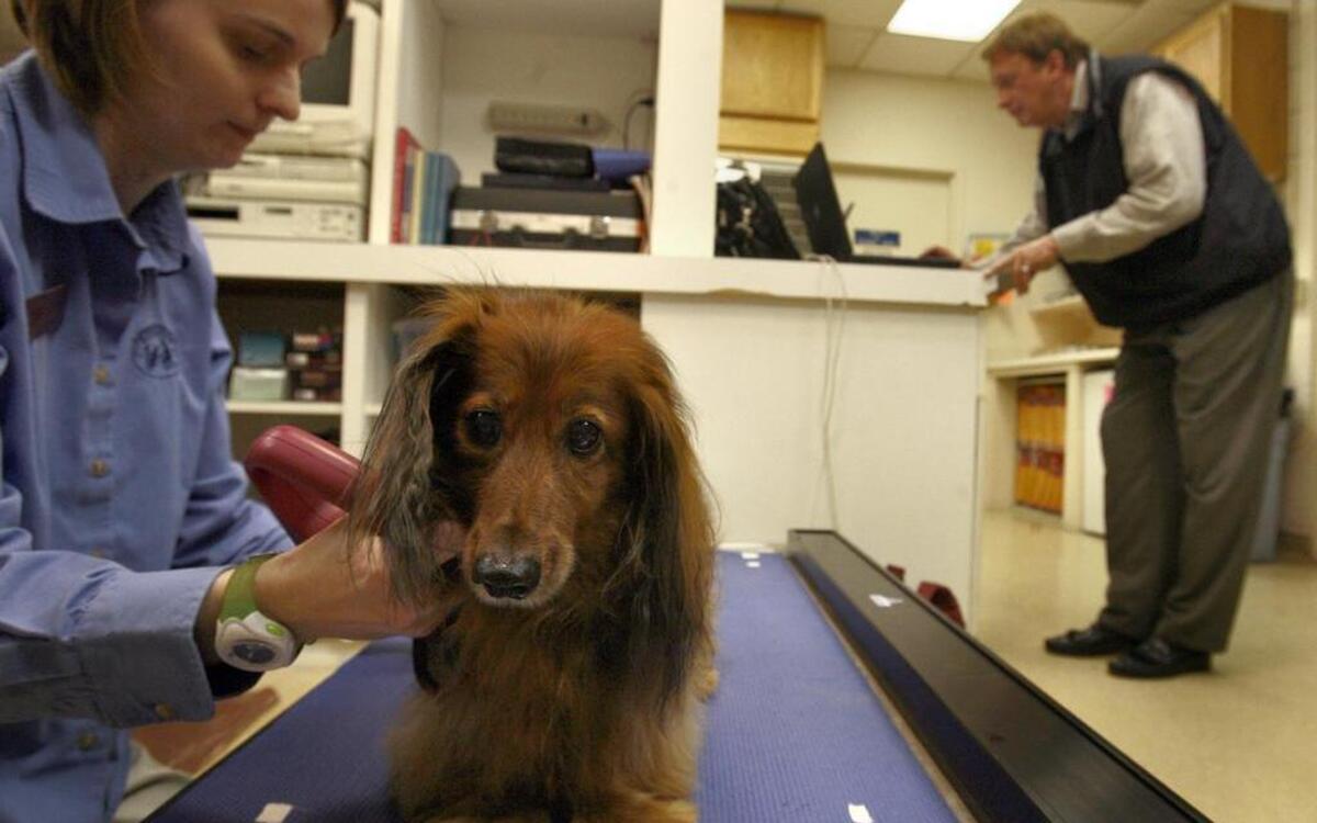 
The Kansas City Animal Health Corridor — stretching between Columbia, Mo., and Manhattan, Kan. — has in its 10-year history put itself at the center of global agribusiness attention.
