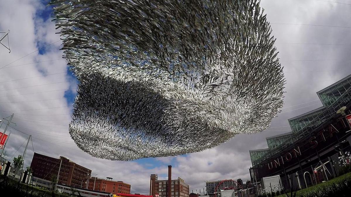 “Reflecting Motion,” a 12,000-square-foot sculpture made from holographic film, mirrors synchronized movements in nature.