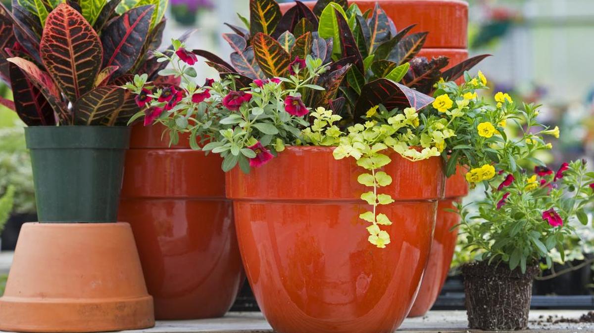 Container gardening can be an inexpensive way to brighten up the front porch.