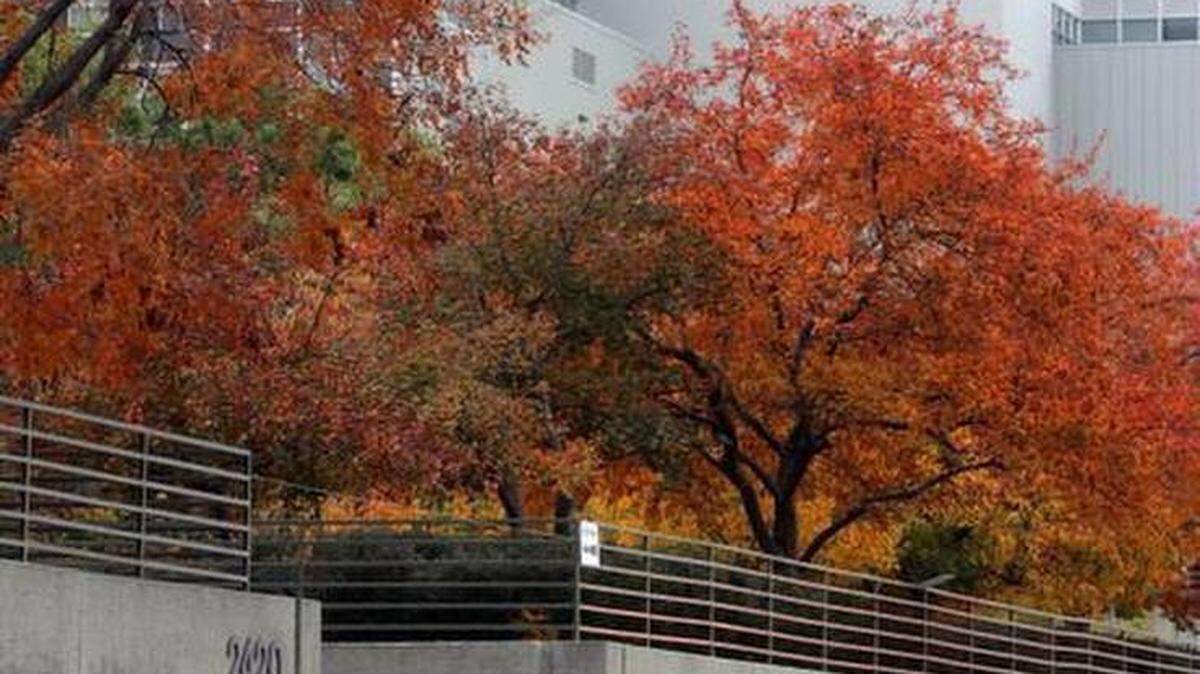 Hallmark Cards is planning to sell 5 acres just next to its Kansas City headquarters. The land will become a residential development.