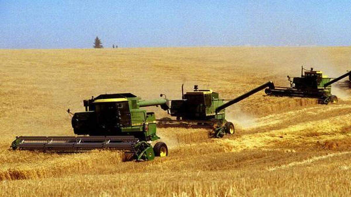 
The lawsuits relate to the discovery of genetically modified wheat on a farm in Oregon in May 2013. The wheat had not been approved, and after the discovery, Japan and South Korea temporarily suspended some wheat orders. The European Union called for tougher testing of shipments from the U.S. 
