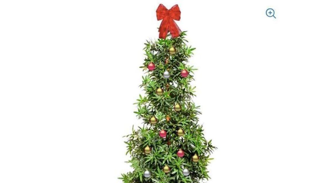 Walmart was selling a marijuana Christmas tree that will ‘light up’ the room