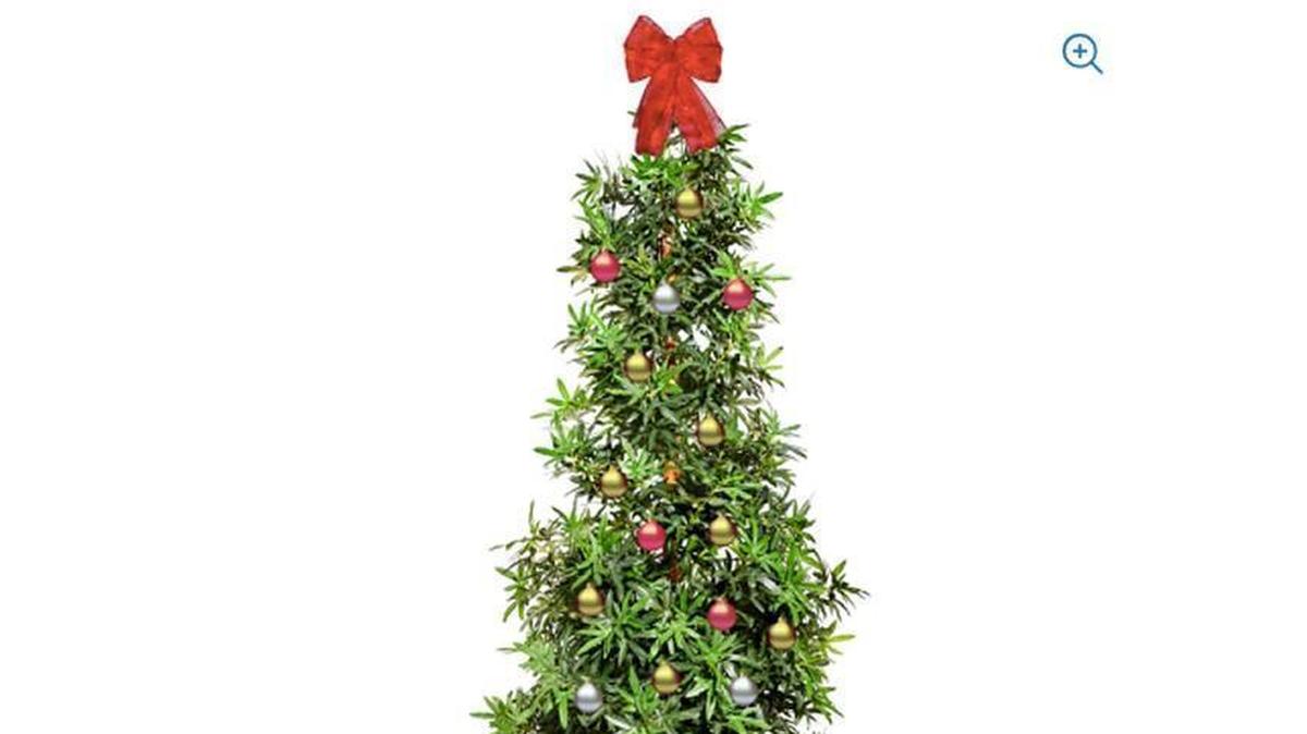 How did we miss this? Pot publications have noticed that Walmart this year is selling a “Weed Christmas Tree” - a 7-foot Tannenbaum made of faux marijuana leaves.