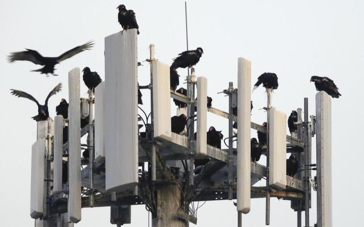 AT&T claimed it’s offering a version of “5G” service, prompting howls from competitors and the trade press.
