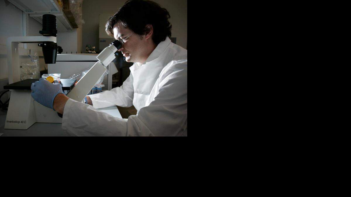 
One highlight of the Greater Kansas City Chamber of Commerce’s “Big 5” initiatives was that the University of Kansas Cancer Center got National Cancer Institute designation and is working toward “comprehensive cancer care” status. In this 2009 file photo, assistant professor John Robertson examined leukemia cells.
