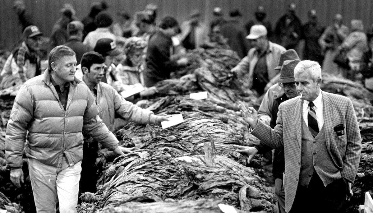 Bob Musgrave, left, and Bub Hull, right, tour rows containing more than 200,000 pounds of tobacco at the New Deal Tobacco Warehouse in Weston. At an auction, prices for 1983 tobacco were 4 to 6 cents a pound higher than the previous year.