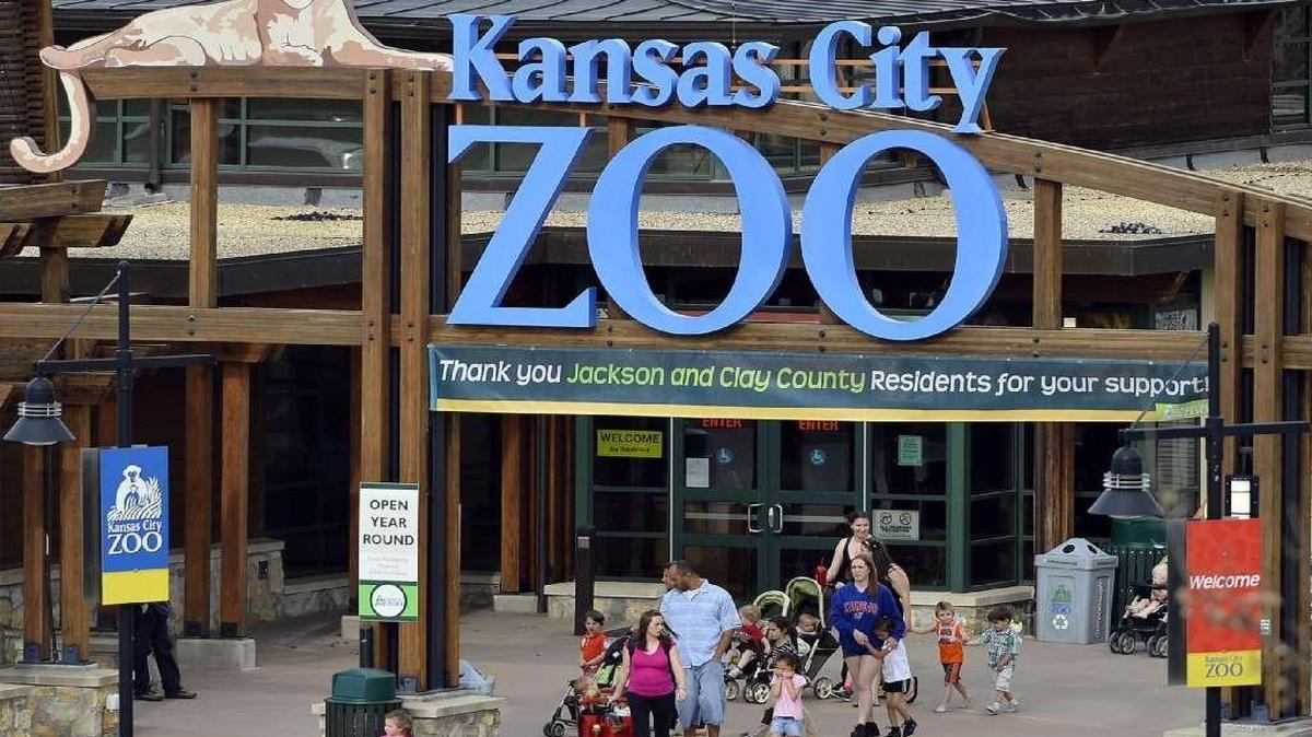 The Kansas City Zoo hopes to achieve its goal of 915,000 visitors by the end of 2015. The goal is 1.025 million next year and 1.1 million in 2017.