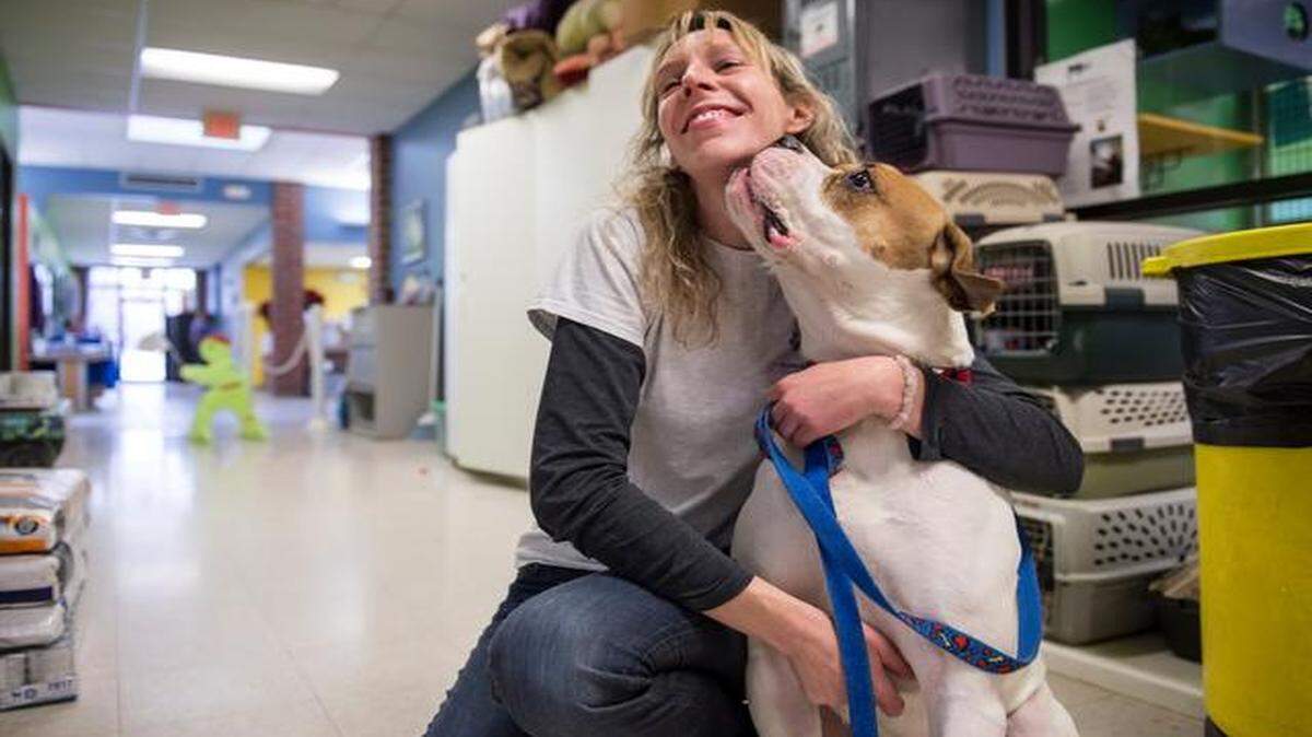 
Christine Blank, an intake coordinator and dog adoptions counselor with the Humane Society of Greater Kansas City, got some love from Gia, an American bulldog who weighed only about 60 pounds when she arrived at the shelter.


