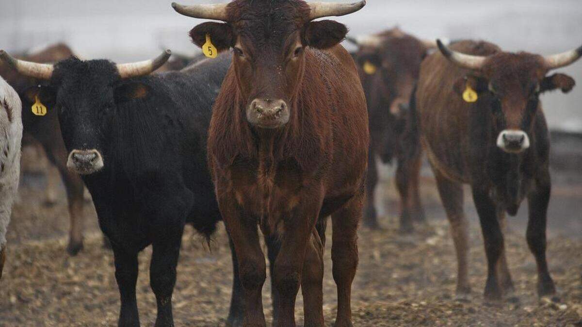 Valley Oaks wants to build a feedlot similar to this one.