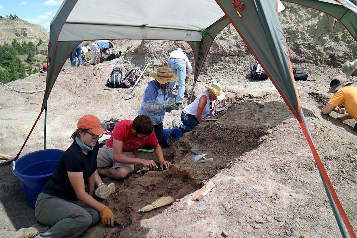 Crowd sourcing campaigns have helped KU send a team of student researchers — for the past four years — to Montana’s Hell Creek Formation, where they have been digging up Tyrannosaurus rex bones.
