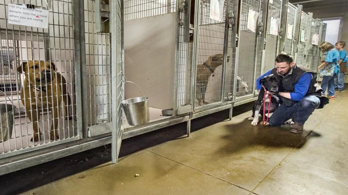 Petco Foundation awarded a $500,000 grant to the KC Pet Project that will be used to help save homeless animals in the Kansas City area.