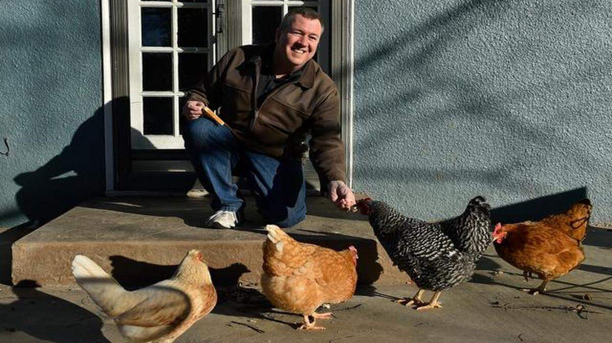When one of Paul Blanck’s backyard chickens got over his fence, Blanck took to social media to ask his South Plaza neighbors for help. She was still on the run when this photo was taken.